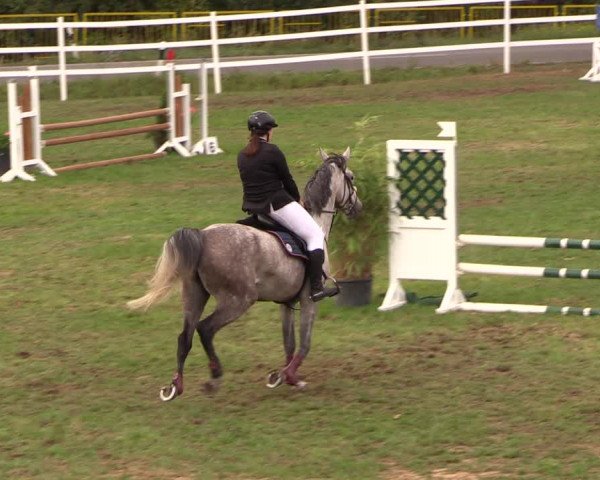 Reitturnier Müncheberg 2018