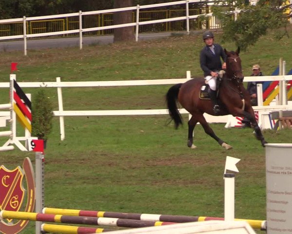Reitturnier Müncheberg 2018