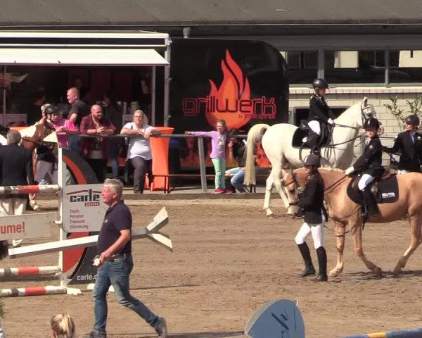 Reitturnier Siegen 2018