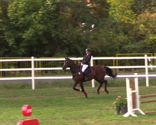 Reitturnier Müncheberg 2018
