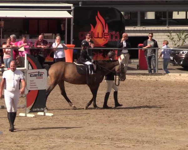 Reitturnier Siegen 2018