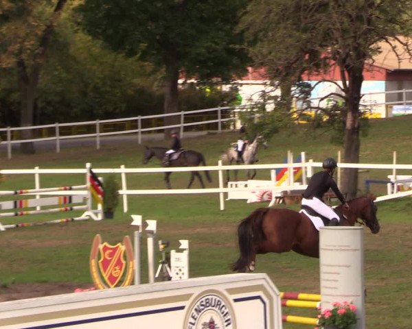 Reitturnier Müncheberg 2018