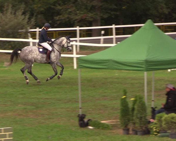 Reitturnier Müncheberg 2018