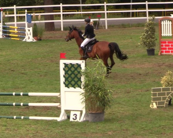 Reitturnier Müncheberg 2018