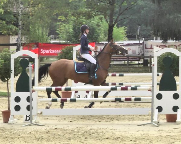 Reitturnier Walldorf/Winterheck 2018