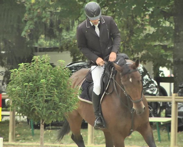 Reitturnier Walldorf/Winterheck 2018
