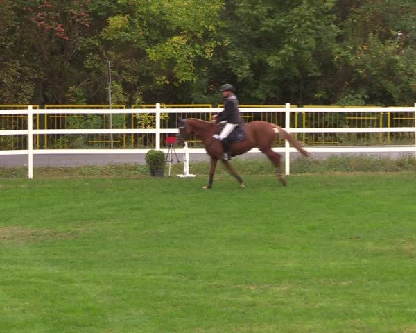 Reitturnier Müncheberg 2018