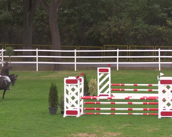 Reitturnier Müncheberg 2018