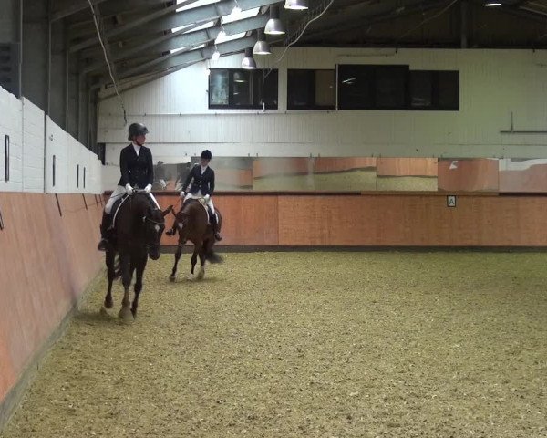 Reitturnier Ratingen-Hösel - Gut Gützenhof 2018