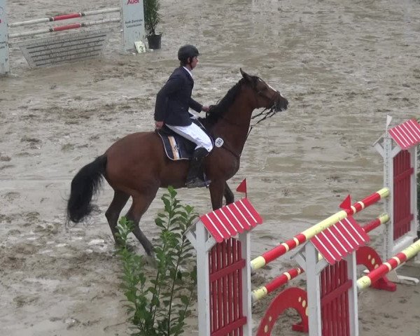 Reitturnier Köln-Leverkusen 2018