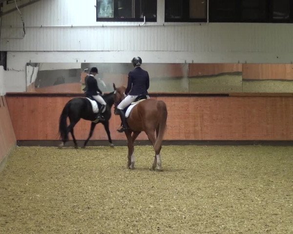 Reitturnier Ratingen-Hösel - Gut Gützenhof 2018