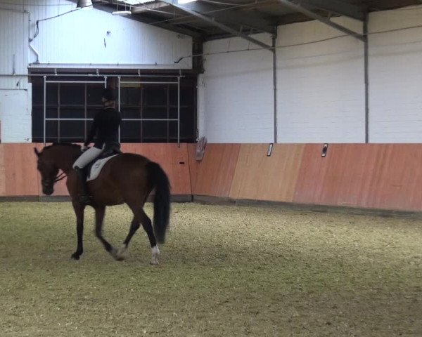Reitturnier Ratingen-Hösel - Gut Gützenhof 2018