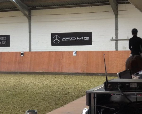 Reitturnier Ratingen-Hösel - Gut Gützenhof 2018