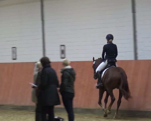 Reitturnier Ratingen-Hösel - Gut Gützenhof 2018