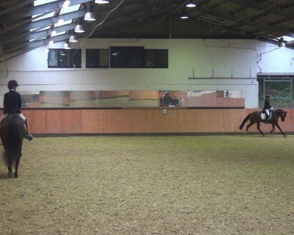 Reitturnier Ratingen-Hösel - Gut Gützenhof 2018