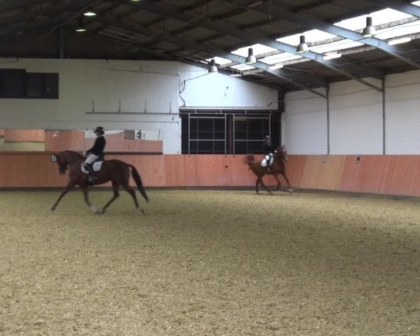 Reitturnier Ratingen-Hösel - Gut Gützenhof 2018
