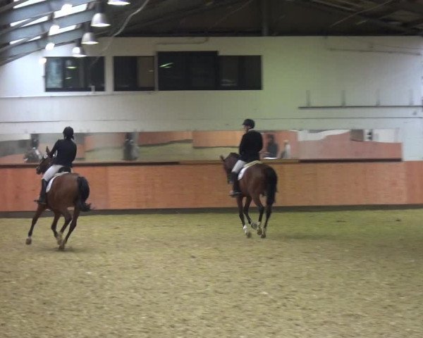 Reitturnier Ratingen-Hösel - Gut Gützenhof 2018