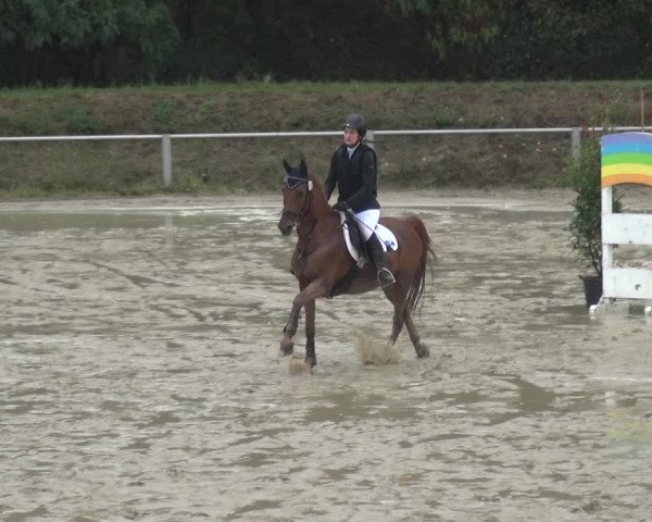Reitturnier Köln-Leverkusen 2018
