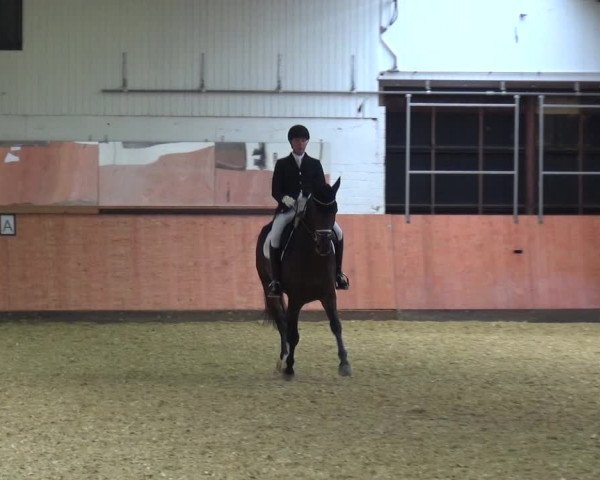 Reitturnier Ratingen-Hösel - Gut Gützenhof 2018