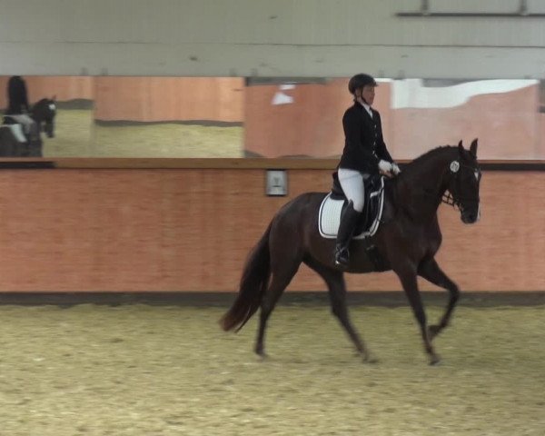 Reitturnier Ratingen-Hösel - Gut Gützenhof 2018