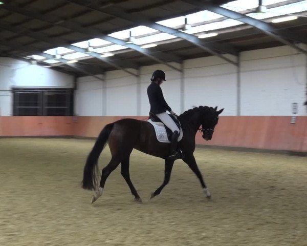 Reitturnier Ratingen-Hösel - Gut Gützenhof 2018