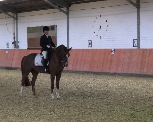Reitturnier Ratingen-Hösel - Gut Gützenhof 2018