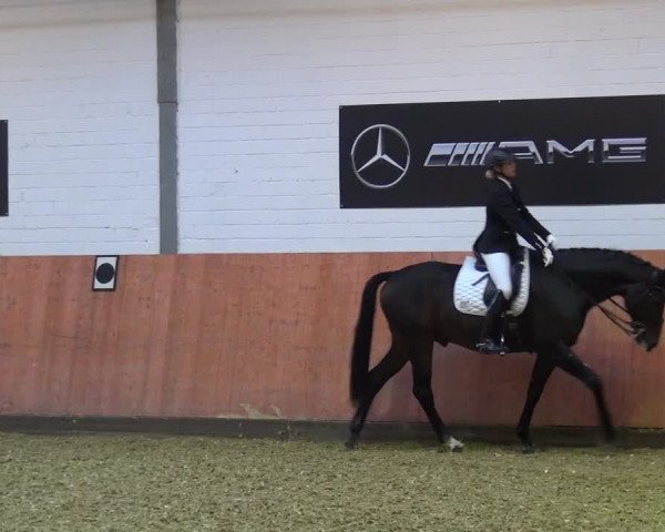 Reitturnier Ratingen-Hösel - Gut Gützenhof 2018