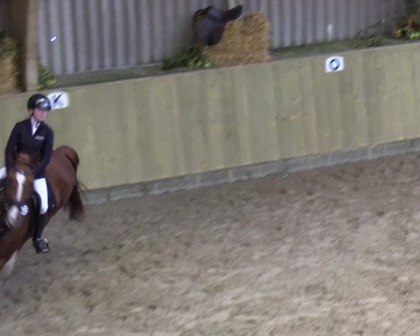 Reitturnier Sörup 2018