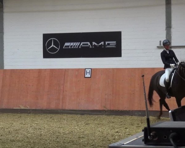 Reitturnier Ratingen-Hösel - Gut Gützenhof 2018