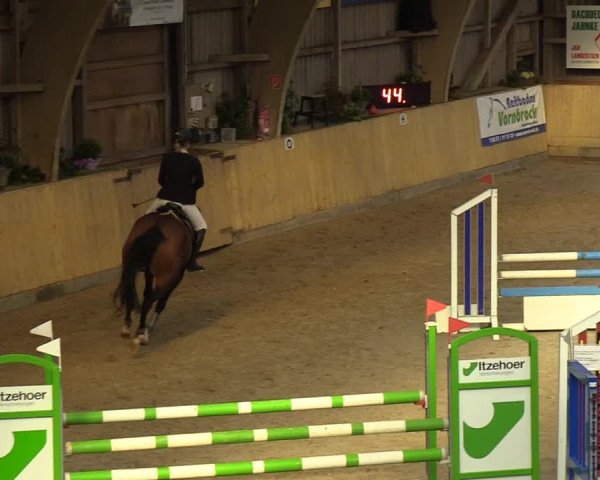 Reitturnier Sörup 2018