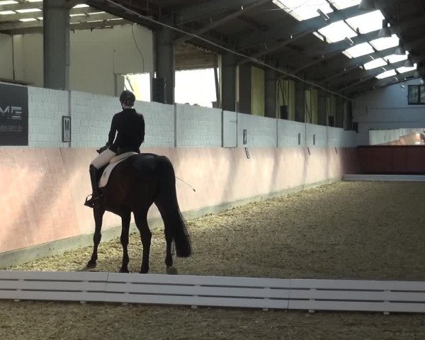 Reitturnier Ratingen-Hösel - Gut Gützenhof 2018