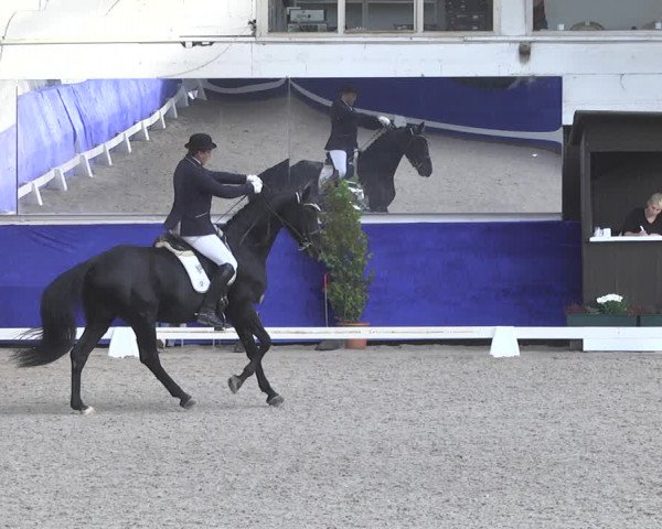 Reitturnier Pforzheim 2018