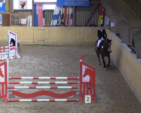 Reitturnier Sörup 2018