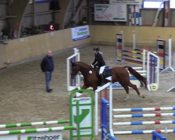 Reitturnier Sörup 2018