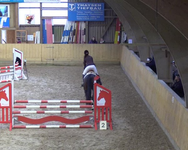 Reitturnier Sörup 2018