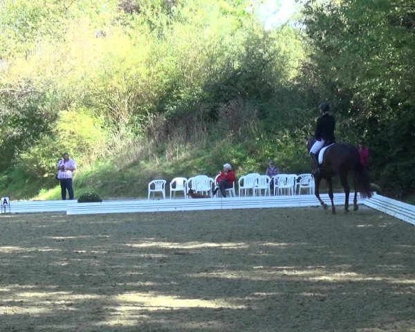 Reitturnier Ratingen-Hösel - Gut Gützenhof 2018