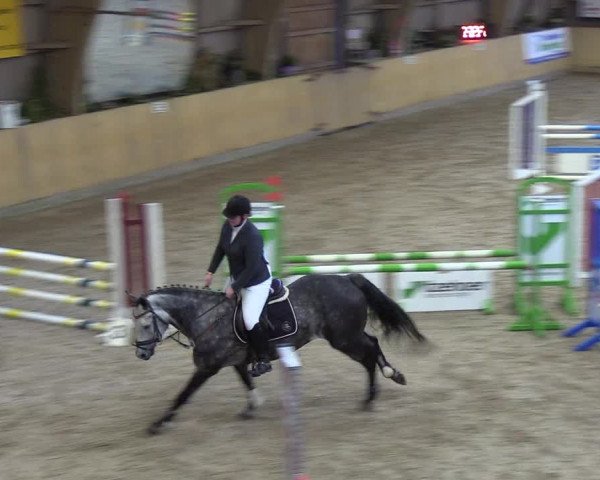 Reitturnier Sörup 2018