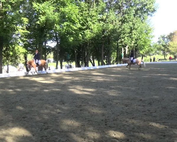Reitturnier Ratingen-Hösel - Gut Gützenhof 2018