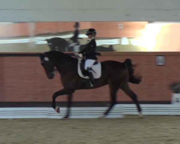 Reitturnier Ratingen-Hösel - Gut Gützenhof 2018