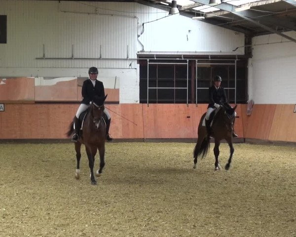 Reitturnier Ratingen-Hösel - Gut Gützenhof 2018
