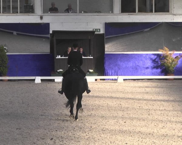 Reitturnier Pforzheim 2018
