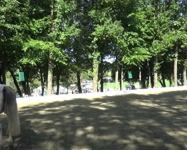 Reitturnier Ratingen-Hösel - Gut Gützenhof 2018