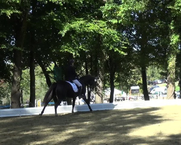 Reitturnier Ratingen-Hösel - Gut Gützenhof 2018