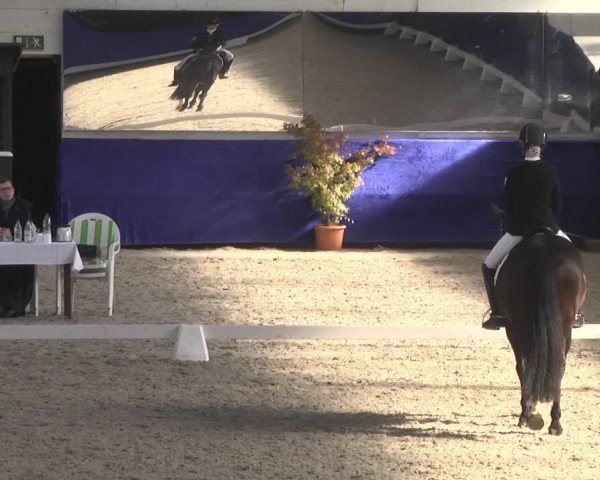 Reitturnier Pforzheim 2018