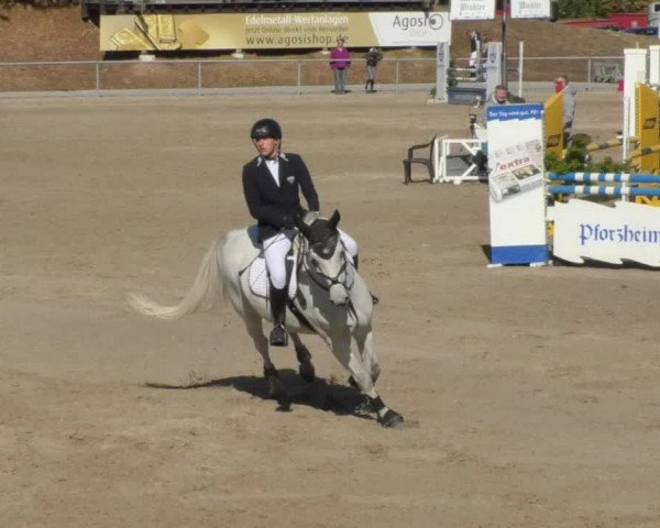 Reitturnier Pforzheim 2018