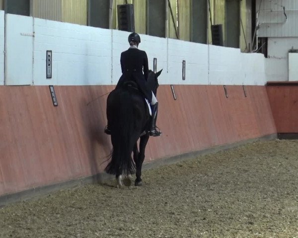 Reitturnier Ratingen-Hösel - Gut Gützenhof 2018