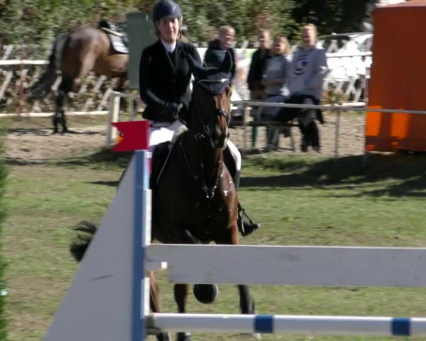 Reitturnier Wernigerode 2018