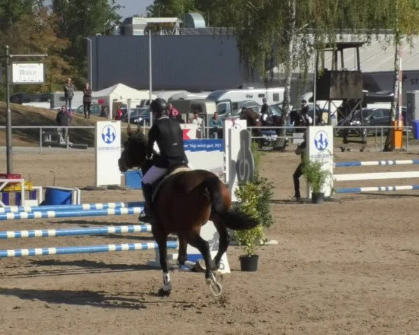 Reitturnier Pforzheim 2018