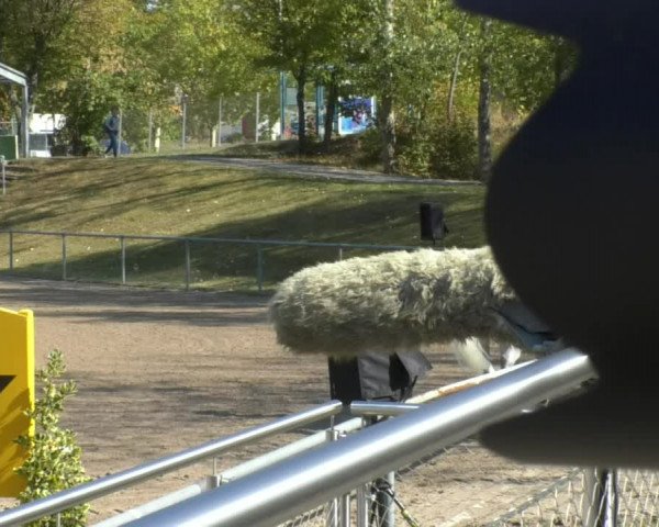 Reitturnier Pforzheim 2018