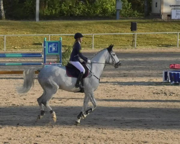 Reitturnier Pforzheim 2018